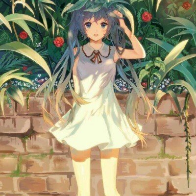 海豚湾恋人